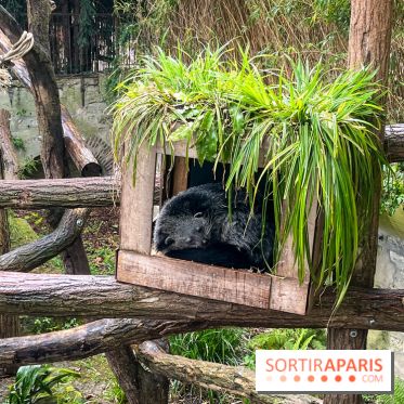 Ménagerie du Jardin des Plantes 2024 - nos photos
