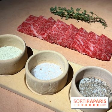 Marie Akaneya - Matsusaka Beef