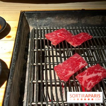 Marie Akaneya - Hampe de bœuf