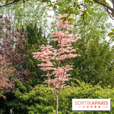Parc de Choisy - Paris 13e