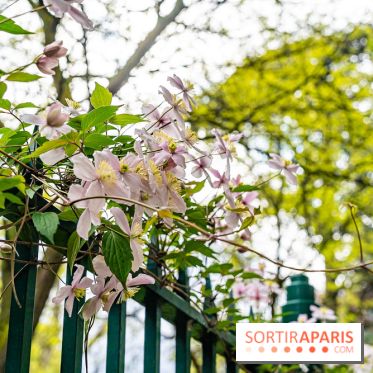 Parc de Choisy - Paris 13e