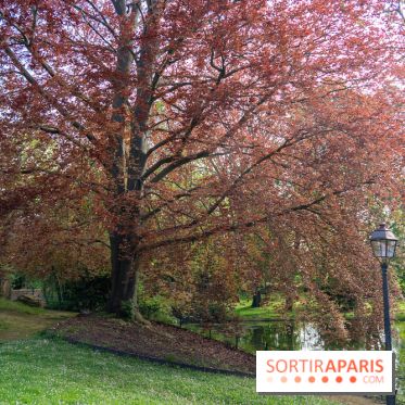 Parc du Dr Fauvel à Villennes sur Seine, grotte et cascades -  A7C1765 HDR