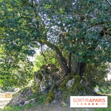 Parc du Dr Fauvel à Villennes sur Seine, grotte et cascades