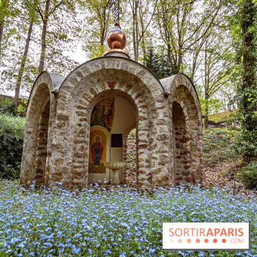 Skit du Saint-Esprit en forêt du Mesnil-Saint-Denis dans les Yvelines -  A7C2058