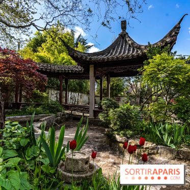 Jardin Yili, le jardin chinois caché dans les Yvelines -  A7C2188