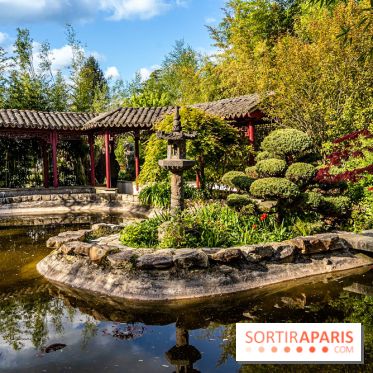 Jardin Yili, le jardin chinois caché dans les Yvelines -  A7C2231