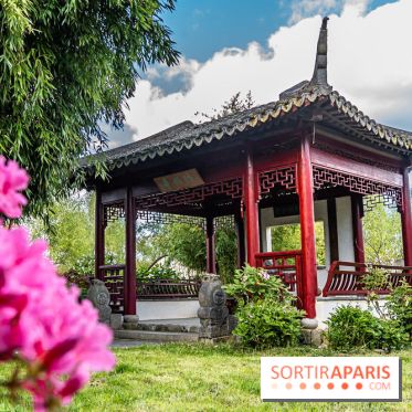 Jardin Yili, le jardin chinois caché dans les Yvelines -  A7C2239