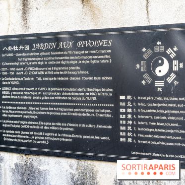 Jardin Yili, le jardin chinois caché dans les Yvelines -  A7C2245