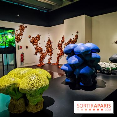 Arabofuturs : l'exposition entre science-fiction et prédictions à l'Institut du Monde Arabe - photos - IMG20240422101426