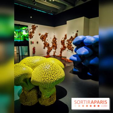 Arabofuturs : l'exposition entre science-fiction et prédictions à l'Institut du Monde Arabe - photos - IMG20240422101438