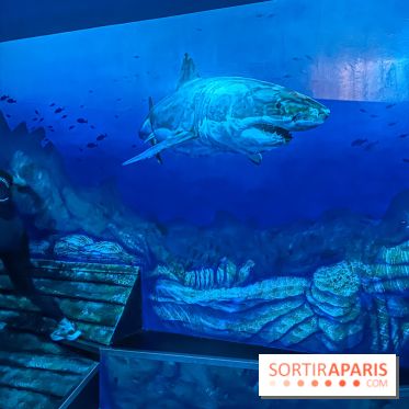 Nikito Domus : l'espace de loisirs immersif à Rosny-sous-Bois - IMG 6218