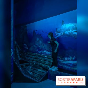 Nikito Domus : l'espace de loisirs immersif à Rosny-sous-Bois