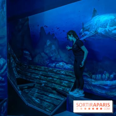 Nikito Domus : l'espace de loisirs immersif à Rosny-sous-Bois