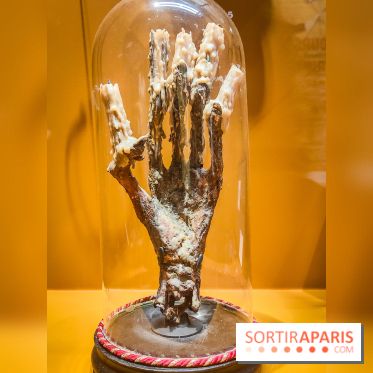 Duels, l'exposition qui nous plonge dans l'art du combat au musée de l'Armée - nos photos - IMG20240423100353