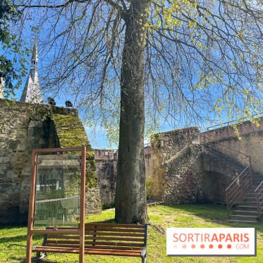 Château de Dourdan - nos photos - image00035