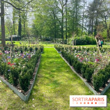 Le parc Lejars-Rouillon - nos photos - image00010