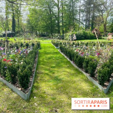 Le parc Lejars-Rouillon - nos photos - image00008