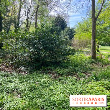 Le parc Lejars-Rouillon - nos photos - image00004