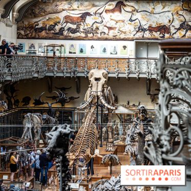 La Galerie de Paléontologie et d'Anatomie comparée du Muséum au Jardin des Plantes