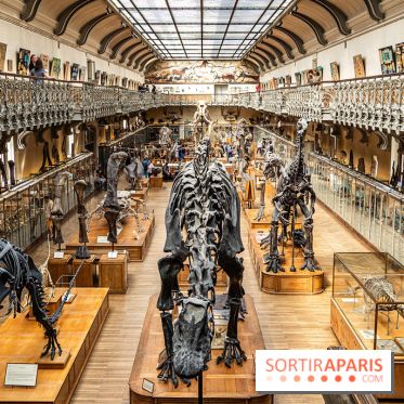 La Galerie de Paléontologie et d'Anatomie comparée du Muséum au Jardin des Plantes
