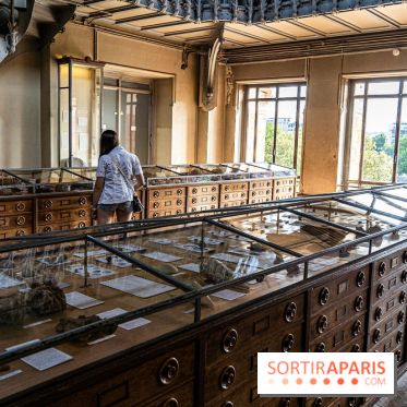 La Galerie de Paléontologie et d'Anatomie comparée du Muséum au Jardin des Plantes -  A7C7465