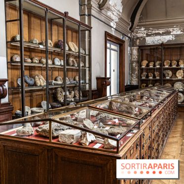 La Galerie de Paléontologie et d'Anatomie comparée du Muséum au Jardin des Plantes