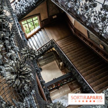La Galerie de Paléontologie et d'Anatomie comparée du Muséum au Jardin des Plantes -  A7C7468