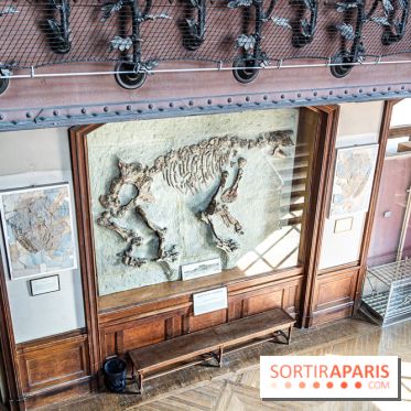 La Galerie de Paléontologie et d'Anatomie comparée du Muséum au Jardin des Plantes