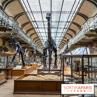 La Galerie de Paléontologie et d'Anatomie comparée du Muséum au Jardin des Plantes