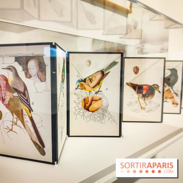 Le MAC-VAL, le musée d'art contemporain du Val-de-Marne et ses collections à portée de Navigo - IMG20240424120214