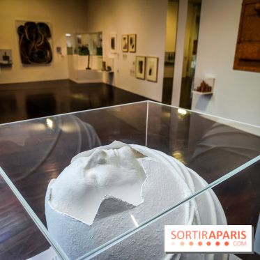 Le MAC-VAL, le musée d'art contemporain du Val-de-Marne et ses collections à portée de Navigo - Rodolfo Krasno