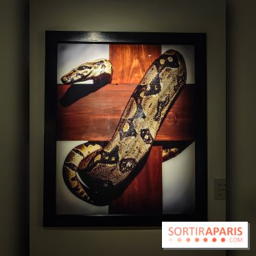 Andres Serrano - Portraits de l'Amérique : l'exposition photo se dévoile au Musée Maillol - IMG20240425102503