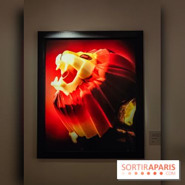 Andres Serrano - Portraits de l'Amérique : l'exposition photo se dévoile au Musée Maillol - IMG20240425110901