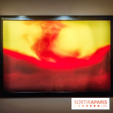 Andres Serrano - Portraits de l'Amérique : l'exposition photo se dévoile au Musée Maillol - IMG20240425110739