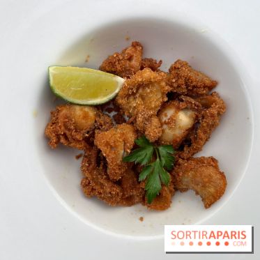 Marquis - Encornets frits