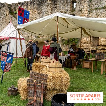Les Rendez-vous de la Madeleine à Chevreuse -  A7C2486