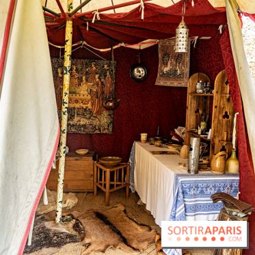 Les Rendez-vous de la Madeleine à Chevreuse -  A7C2482