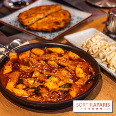 Hwaro Grill, le barbecue Coréen Paris 15e -  tteokbokki