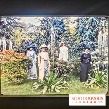 Natures vivantes : l'exposition photo qui met à l'honneur les jardins du musée Albert Kahn - photos