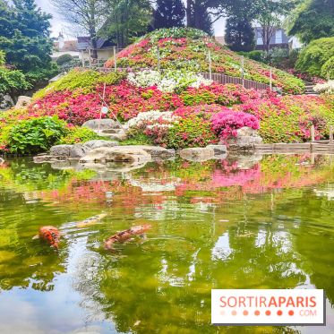 Natures vivantes : l'exposition photo qui met à l'honneur les jardins du musée Albert Kahn - photos