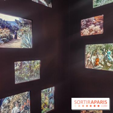 Natures vivantes : l'exposition photo qui met à l'honneur les jardins du musée Albert Kahn - photos