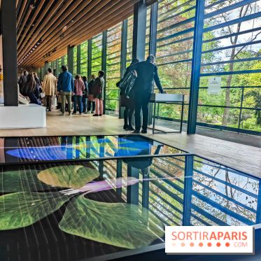Natures vivantes : l'exposition photo qui met à l'honneur les jardins du musée Albert Kahn - photos