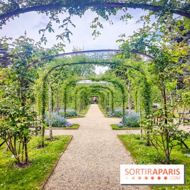 Natures vivantes : l'exposition photo qui met à l'honneur les jardins du musée Albert Kahn - photos
