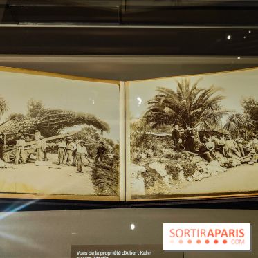 Natures vivantes : l'exposition photo qui met à l'honneur les jardins du musée Albert Kahn - photos