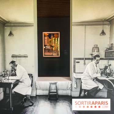 Natures vivantes : l'exposition photo qui met à l'honneur les jardins du musée Albert Kahn - photos