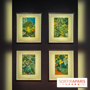 Natures vivantes : l'exposition photo qui met à l'honneur les jardins du musée Albert Kahn - photos