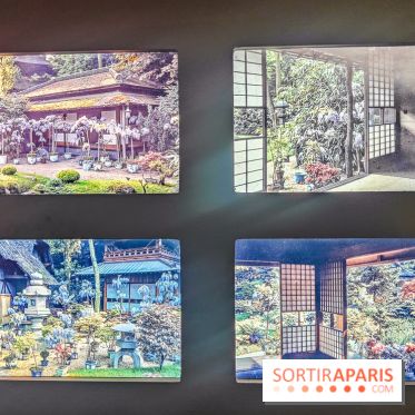 Natures vivantes : l'exposition photo qui met à l'honneur les jardins du musée Albert Kahn - photos