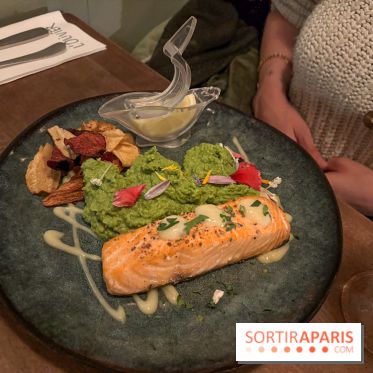 L'olivier - IMG 0306