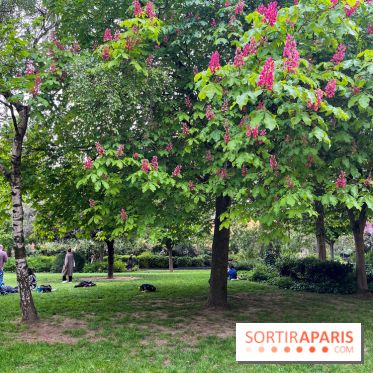Jardin Villemin - nos photos