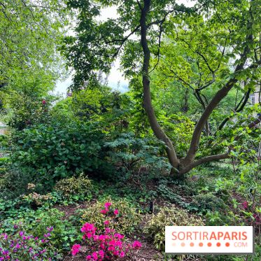 Jardin Villemin - nos photos